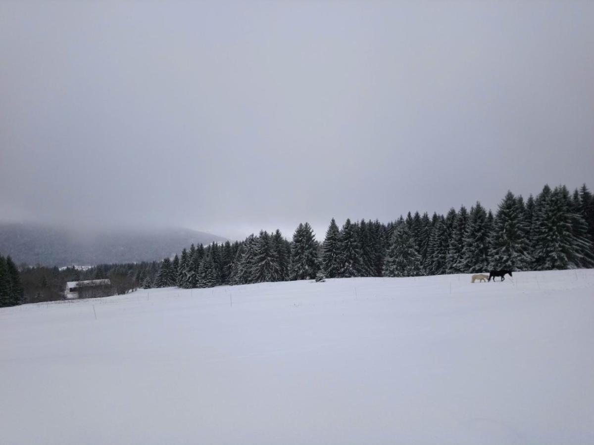 La Ferme Du Levant Gérardmer Buitenkant foto