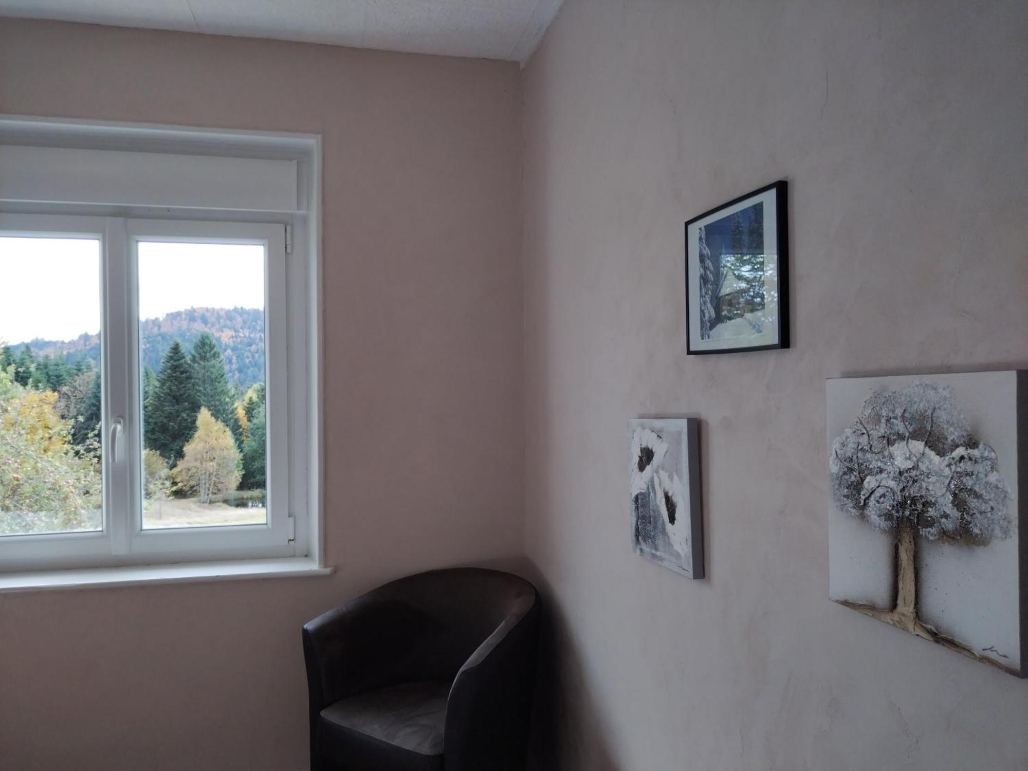 La Ferme Du Levant Gérardmer Buitenkant foto
